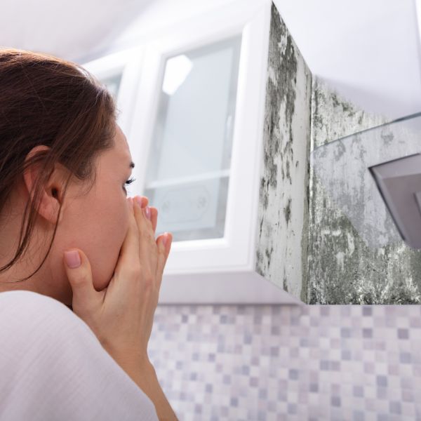Mold Scare