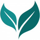 Eco Friendly Icon